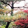 Shimizu, Japan - Kuno-zan Toshogu Shrine